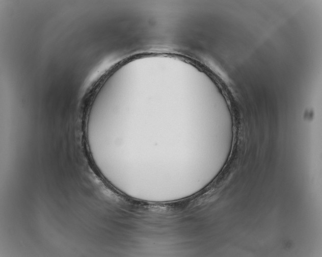 X0000089931456200707271747