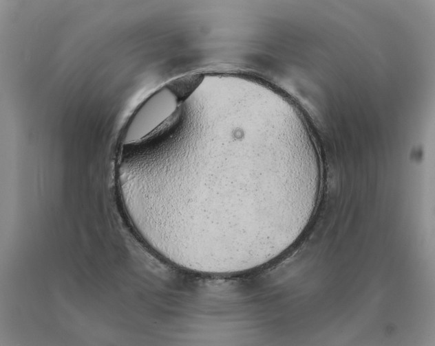 X0000089931459200707271747