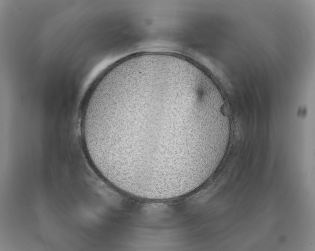 X0000089931462200707271747