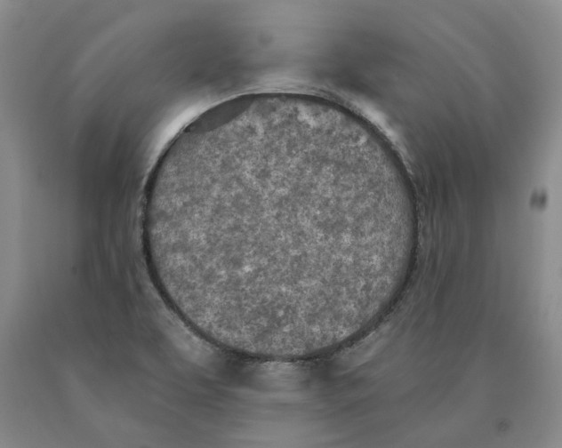 X0000089931463200707271747