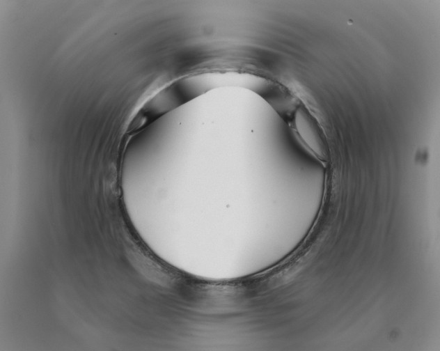 X0000089931465200707271747