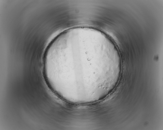 X0000089931467200707271747