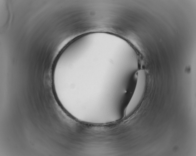 X0000089931468200707271747