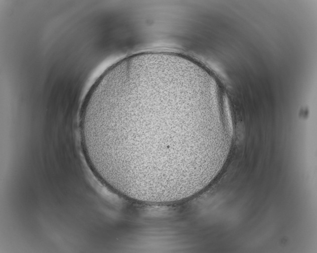 X0000089931470200707271747