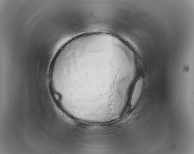 X0000089931471200707271747