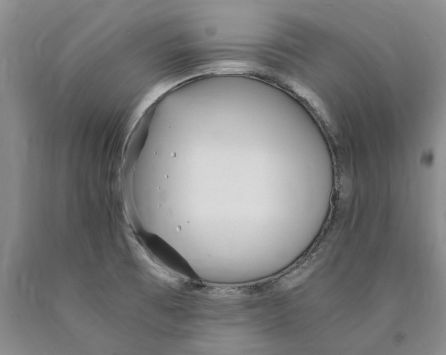 X0000089931473200707271747