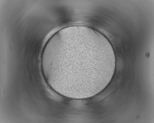 X0000089931474200707271747