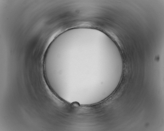 X0000089931475200707271747