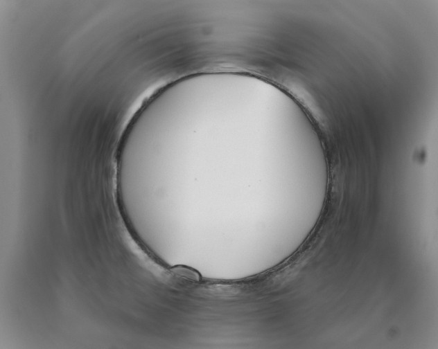 X0000089931476200707271747