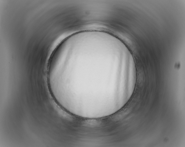 X0000089931478200707271747