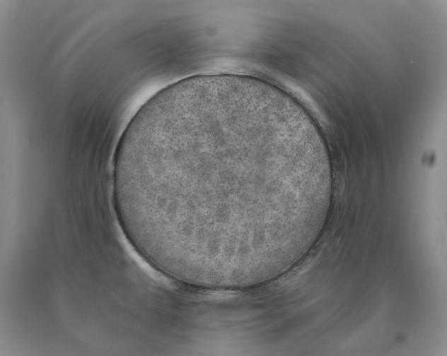 X0000089931479200707271747