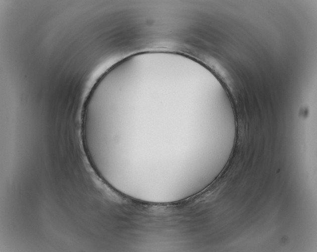 X0000089931480200707271747