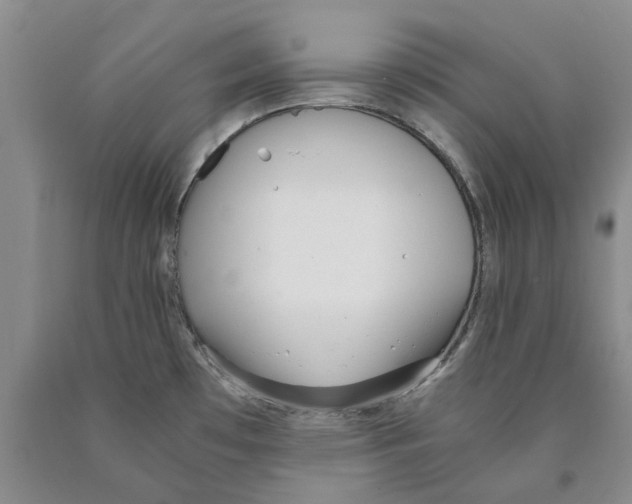 X0000089931481200707271747