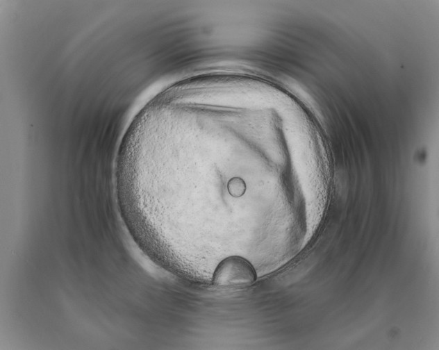 X0000089931482200707271747