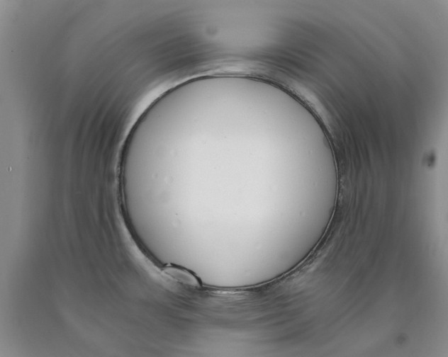 X0000089931483200707271747