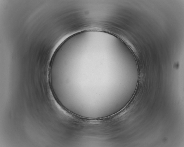 X0000089931484200707271747