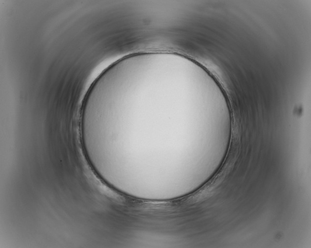 X0000089931486200707271747