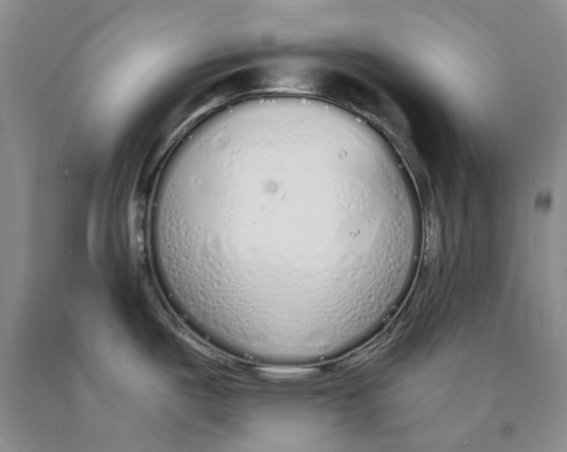 X0000089931487200707271747