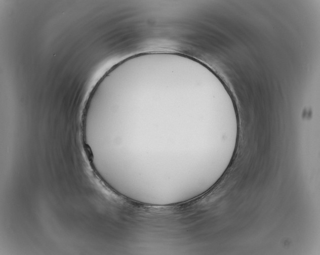 X0000089931488200707271747