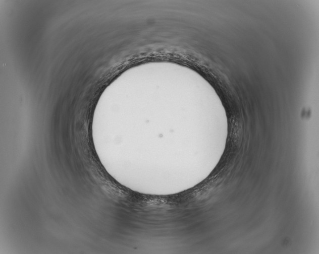 X0000089931489200707271746