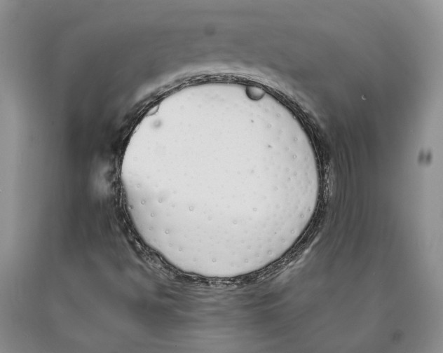 X0000089931494200707271746