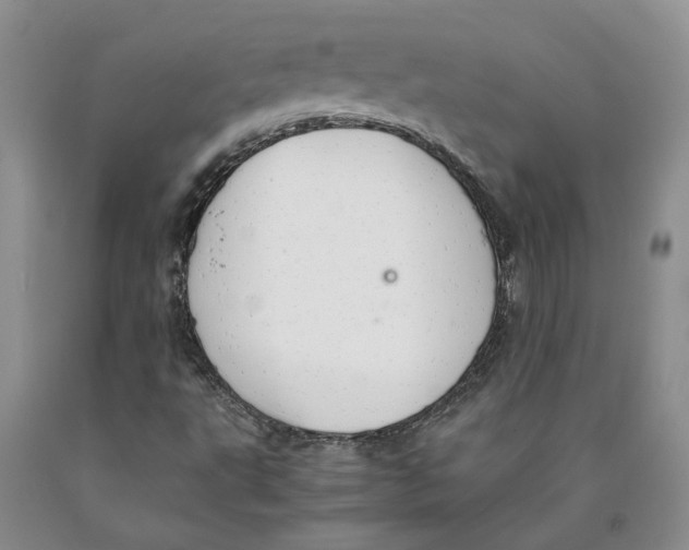 X0000089931495200707271746