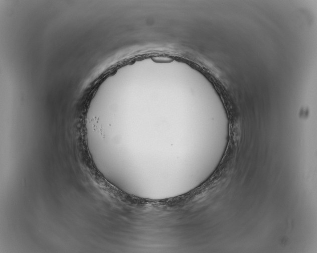 X0000089931496200707271746