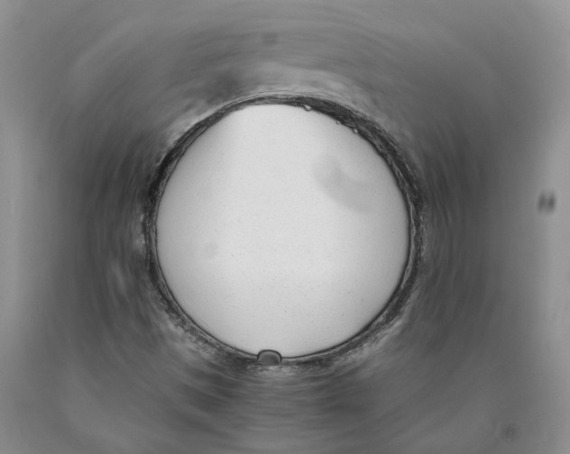 X0000089931497200707271746