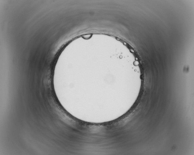 X0000089931498200707271746