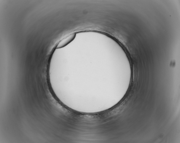 X0000089931500200707271746