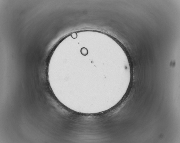 X0000089931502200707271746