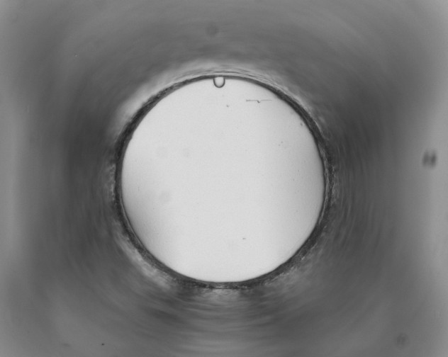 X0000089931503200707271746