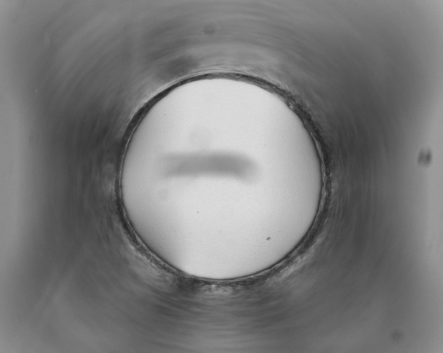 X0000089931505200707271746