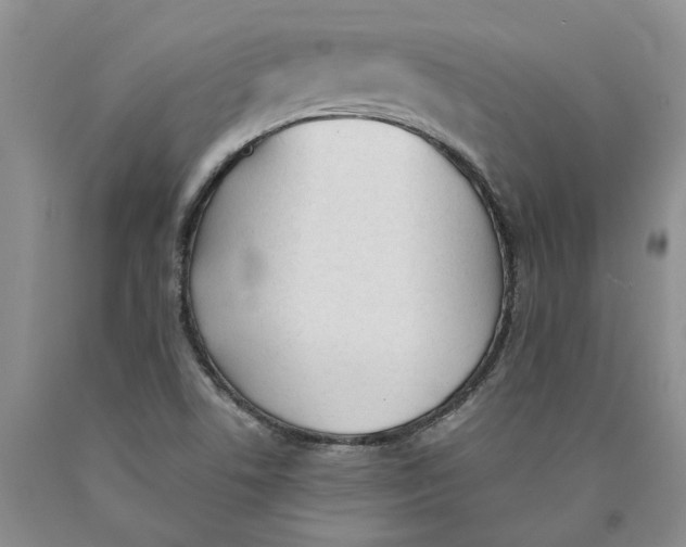 X0000089931506200707271746