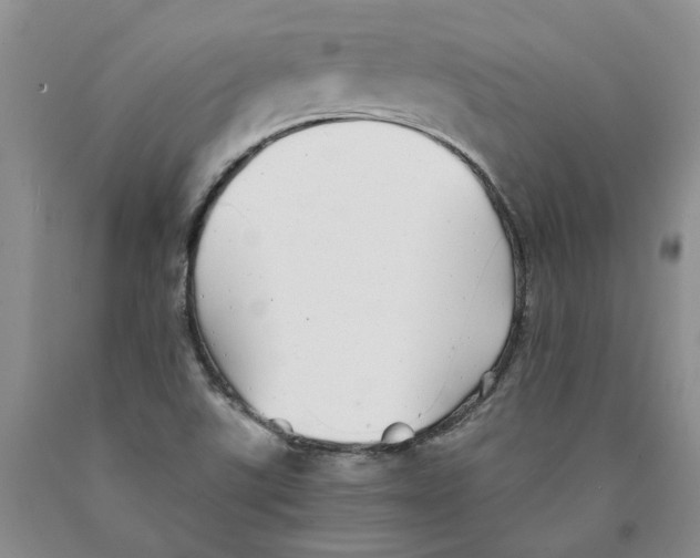 X0000089931507200707271746