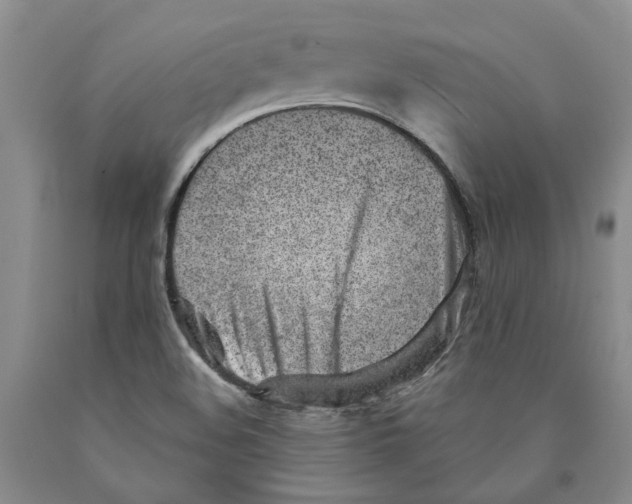 X0000089931508200707271746