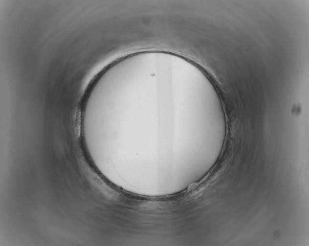 X0000089931510200707271746