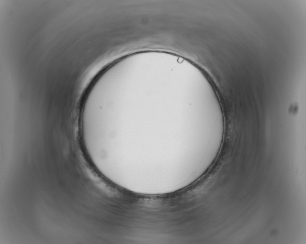 X0000089931511200707271746