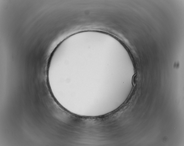 X0000089931512200707271746