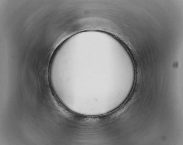 X0000089931513200707271746