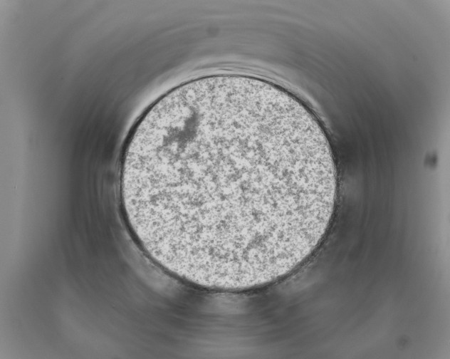 X0000089931514200707271746