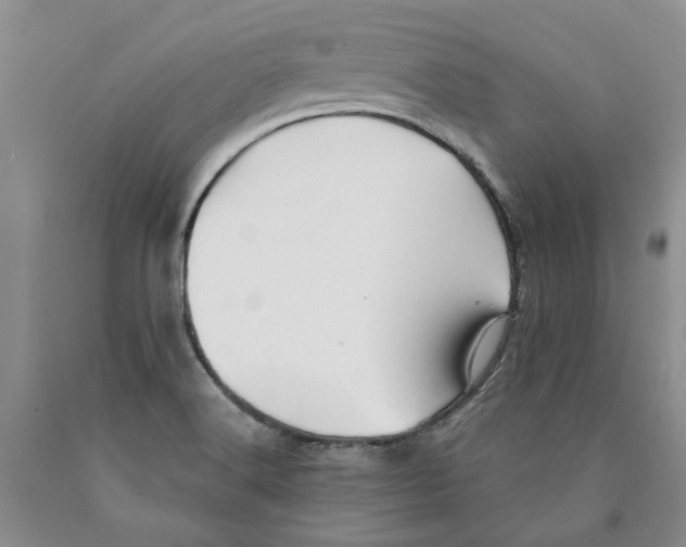 X0000089931516200707271746