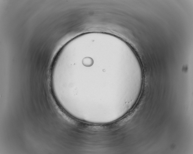 X0000089931517200707271746