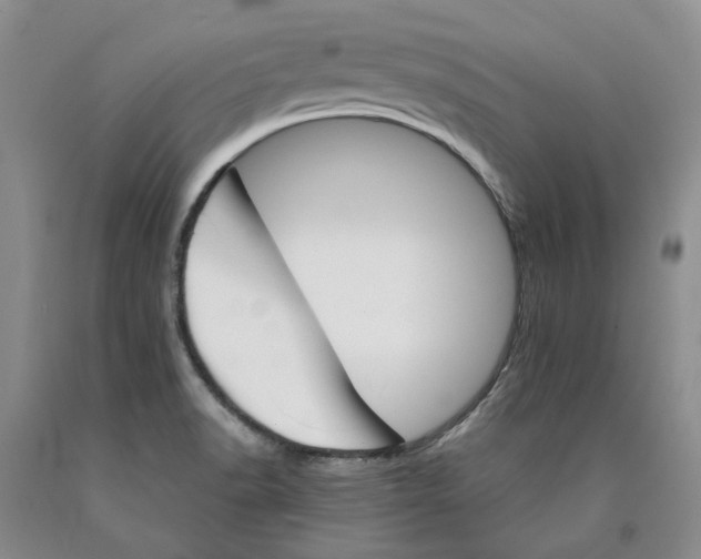 X0000089931518200707271746