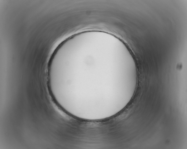 X0000089931519200707271746