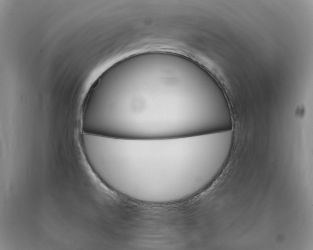 X0000089931520200707271746