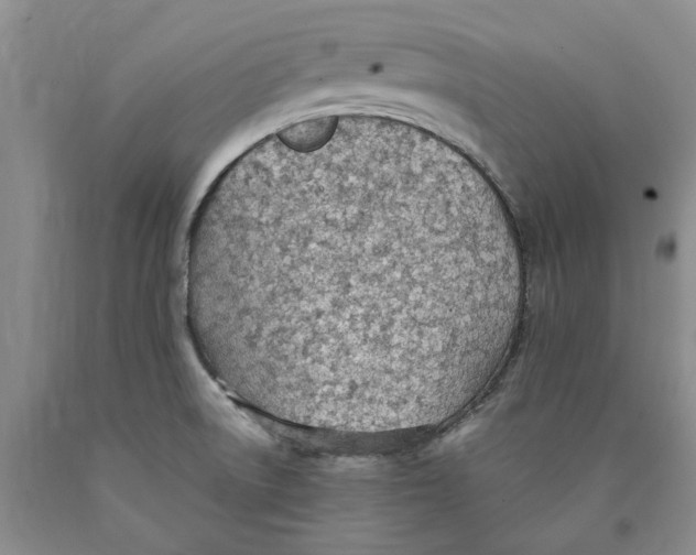 X0000089931522200707271746