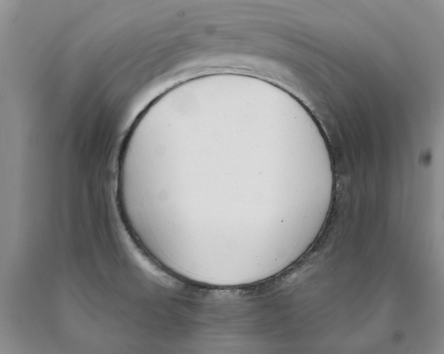 X0000089931523200707271746