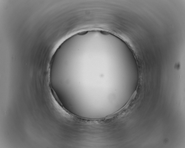 X0000089931524200707271746