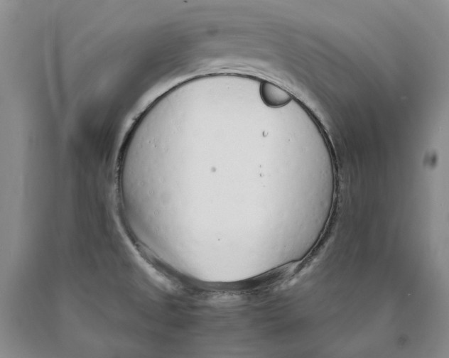 X0000089931525200707271746